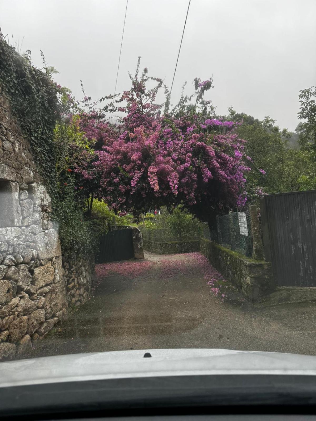 Villadesuso Alojamiento Casa Carlota מראה חיצוני תמונה